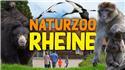 Veranstaltungsbild Besuch des Natur Zoo Rheine